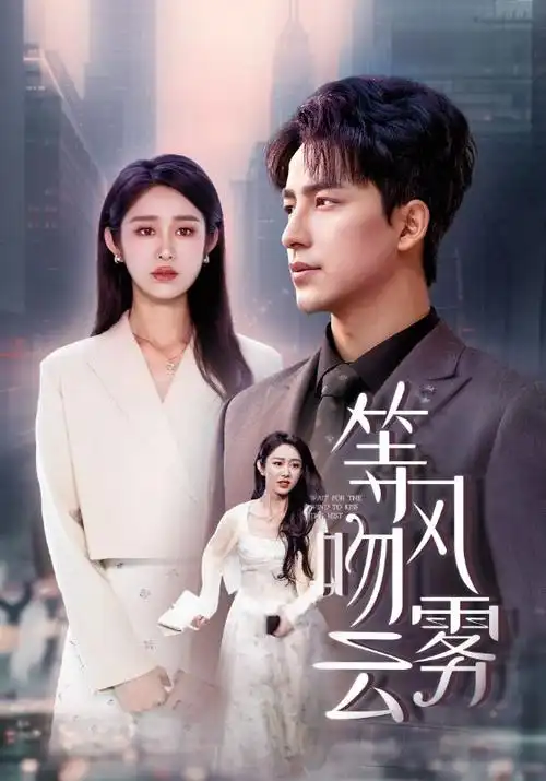 灿烂的她 电视剧海报